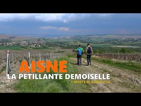 Plongez dans l’univers du champagne Demoiselle