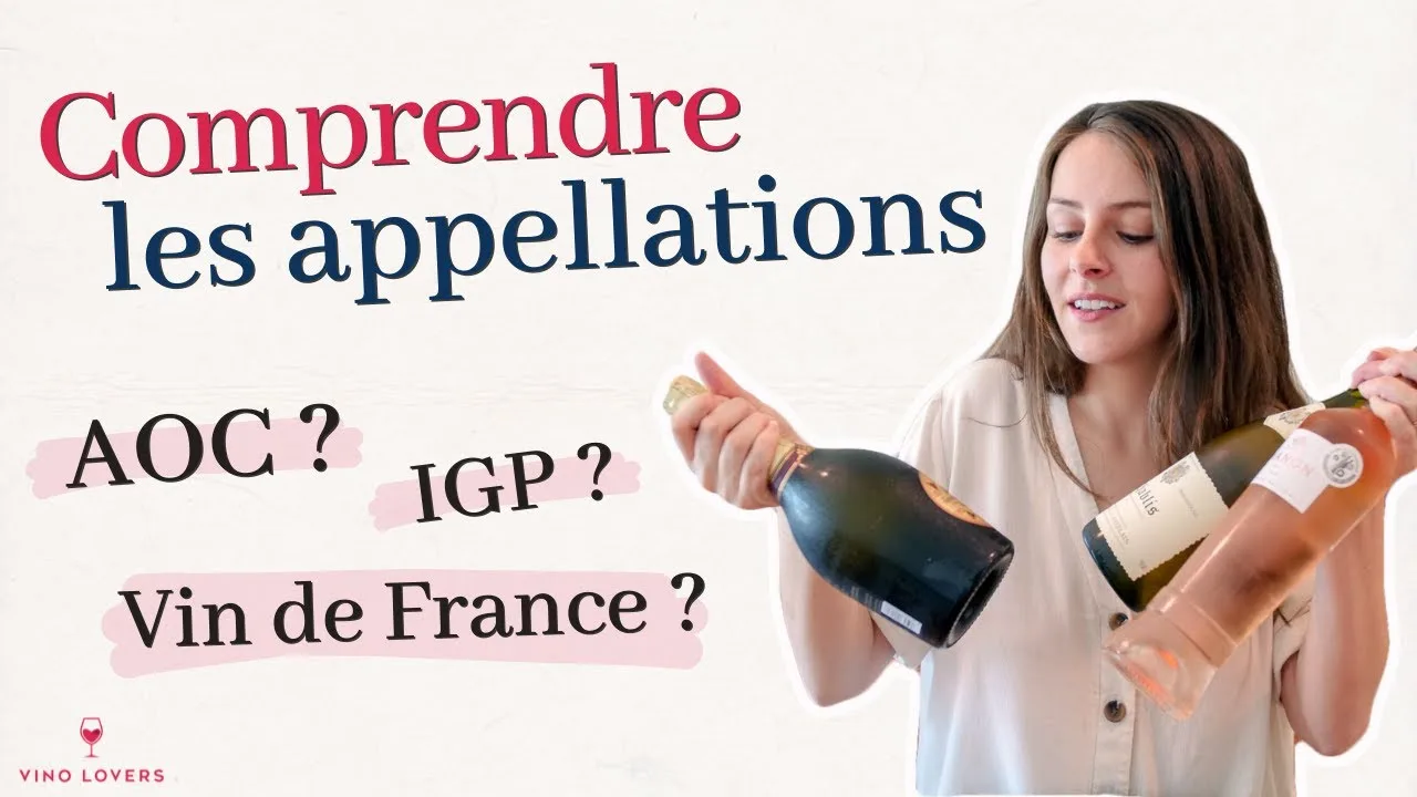Découvrez la magie du ‘Vin de France’ : Un voyage secret à travers les vignobles méconnus de l’Hexagone