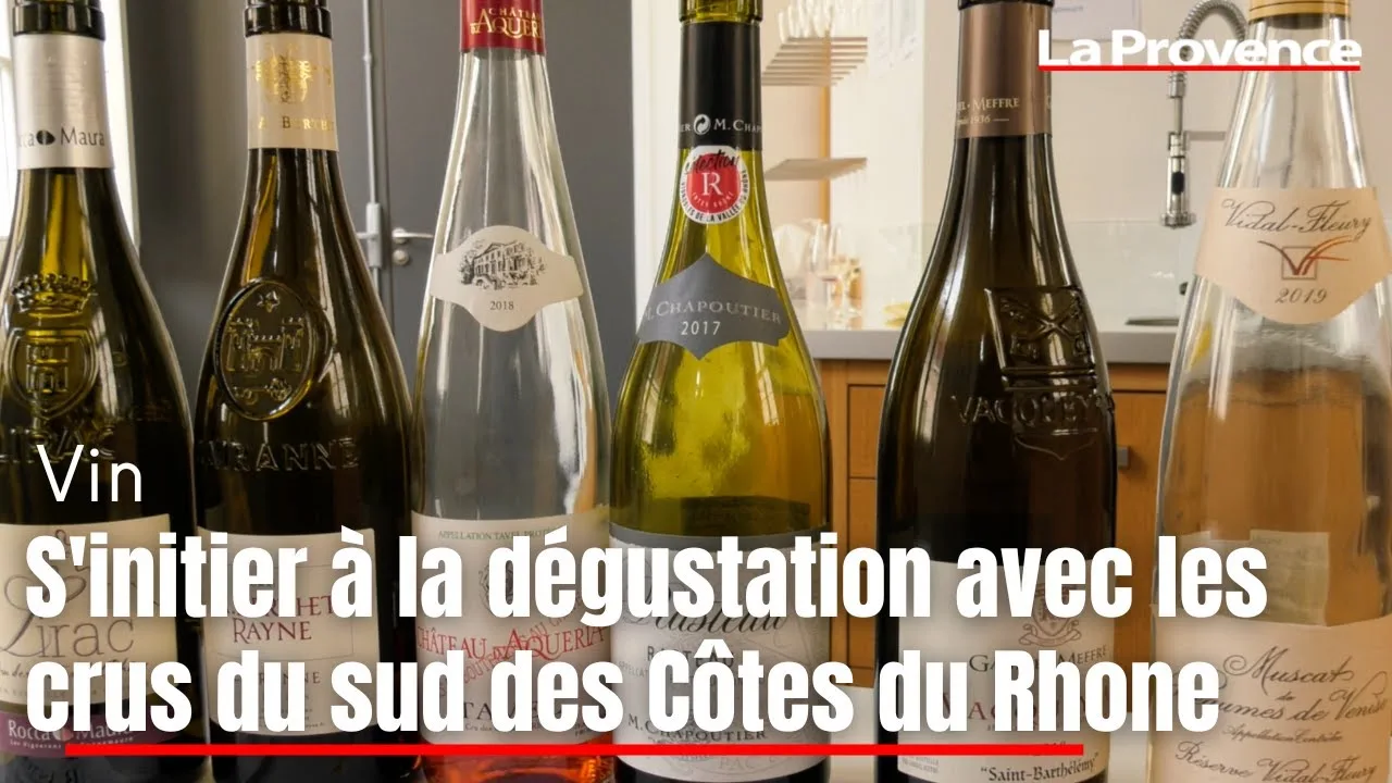 Découvrez le Secret des Vignobles Alain Jaume: Vin Rouge Côtes du Rhône Bio à moins de 8 euros !