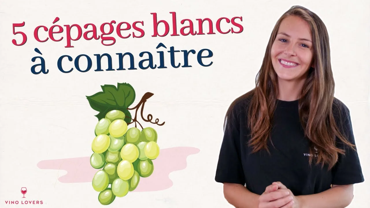 Vin blanc : guide complet pour les amateurs
